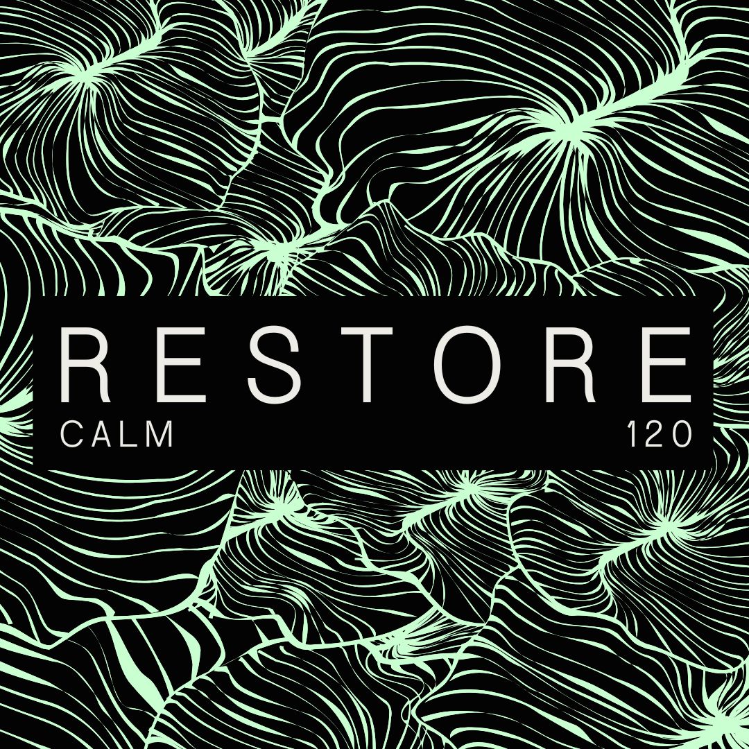 Restore Micros