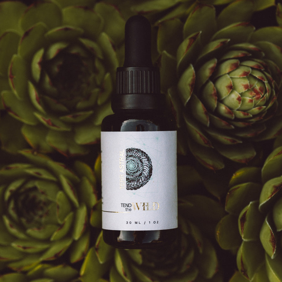 Drops of Urth Ritual Kit