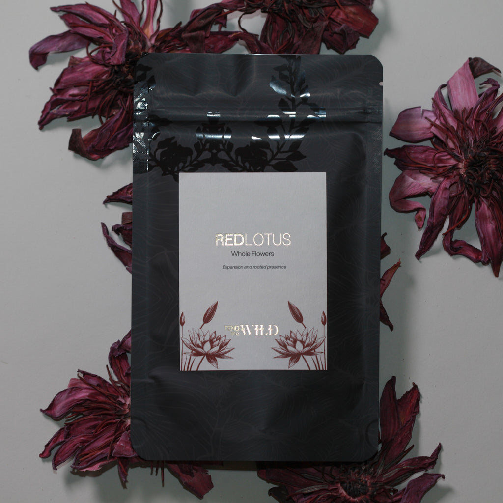 Whole Red Lotus Flower