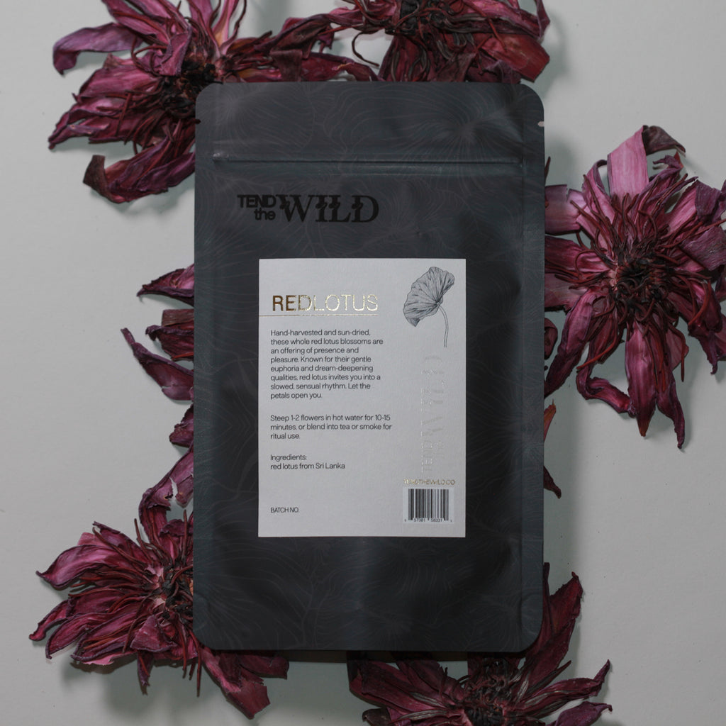 Whole Red Lotus Flower