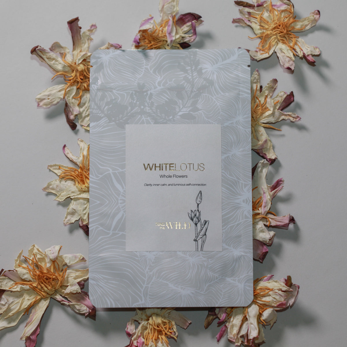 Whole White Lotus Flower