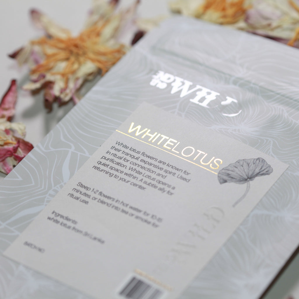 Whole White Lotus Flower