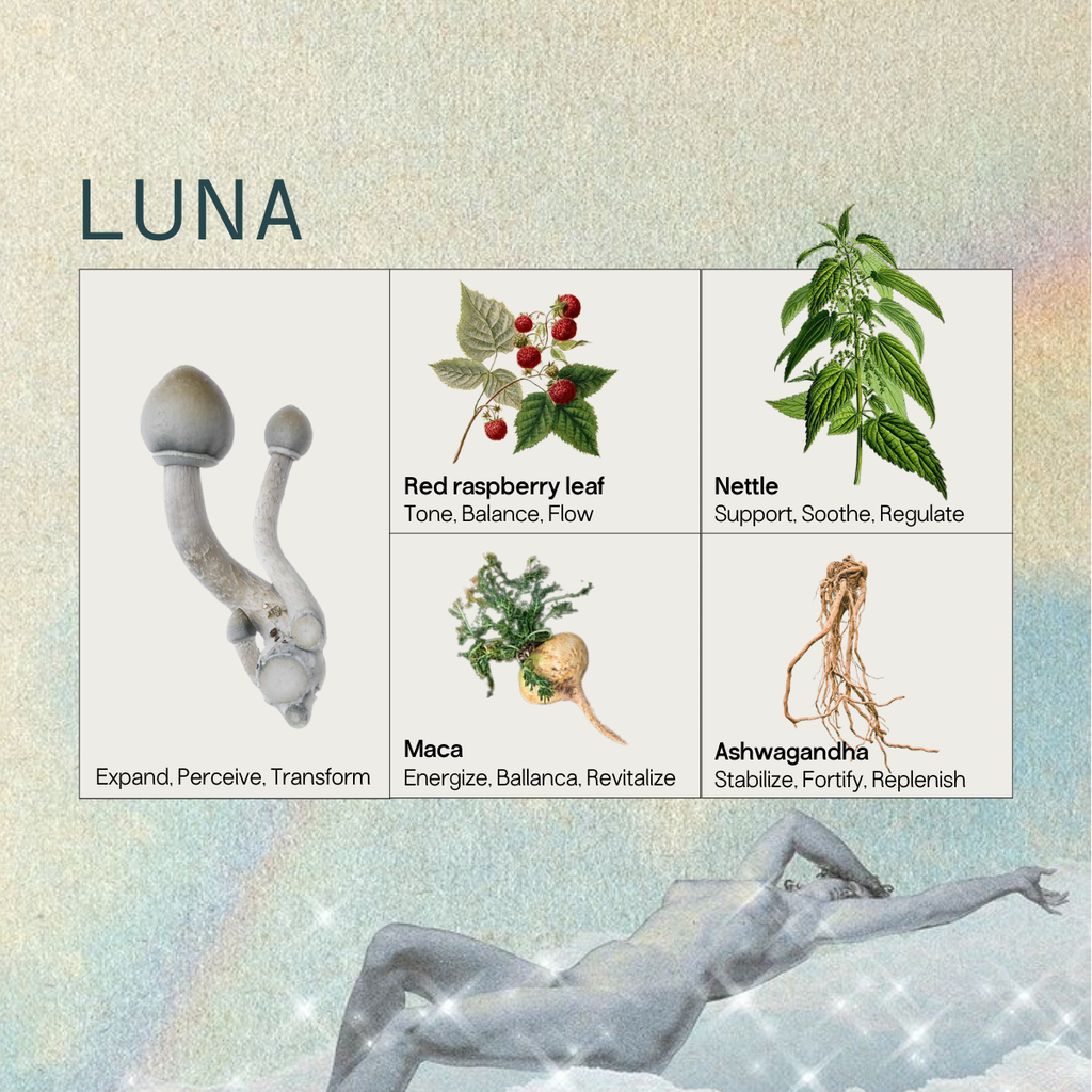 Luna Micros+