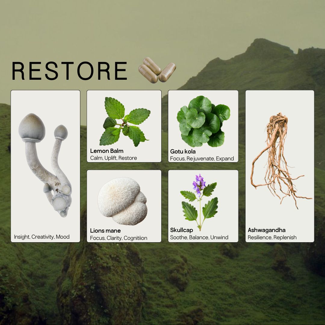 Restore Micros+