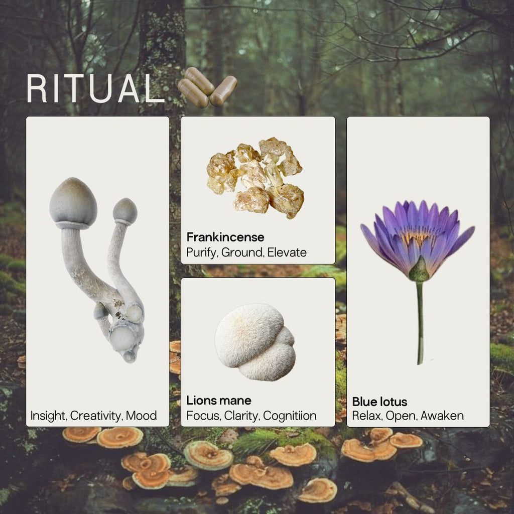 Ritual Micros+