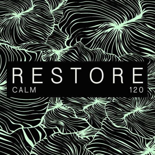 Restore Micros