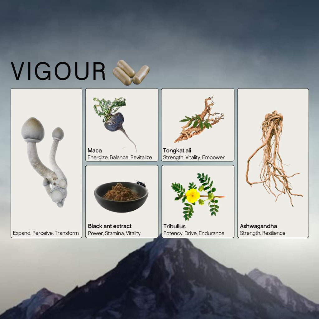 Vigour Micros+