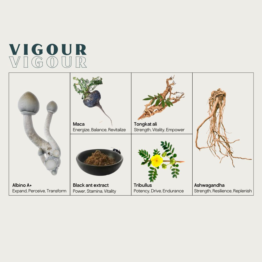 Vigour Micros