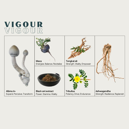 Vigour Micros