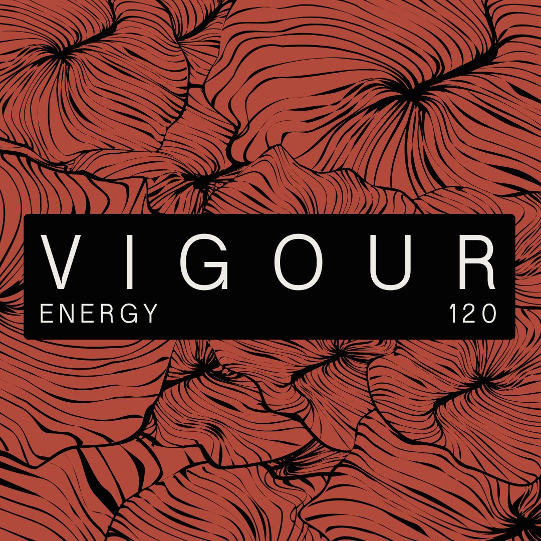 Vigour Micros