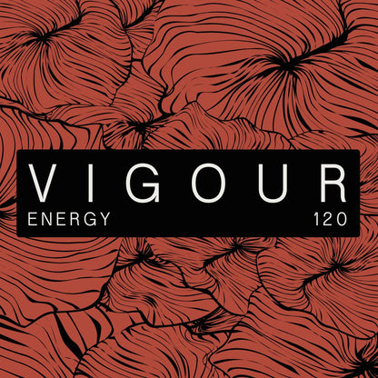 Vigour Micros