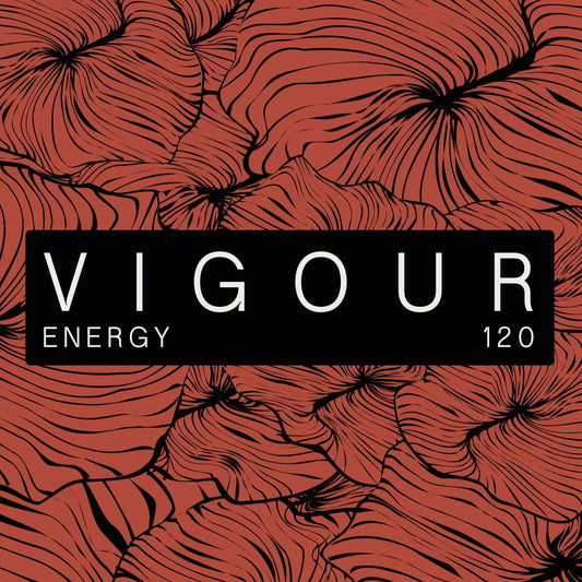 Vigour Micros