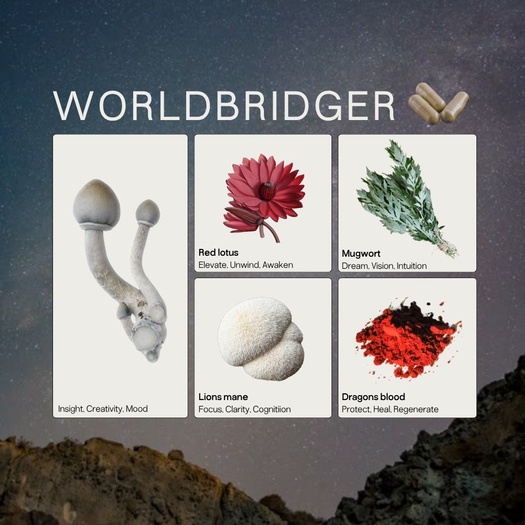 WorldBridge Micros+